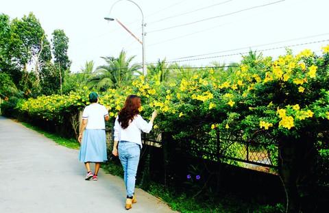 Mùa xuân đi thăm làng cổ Đông Hòa Hiệp - Ảnh 4. Mùa xuân đi thăm làng cổ Đông Hòa Hiệp - Ảnh 4.