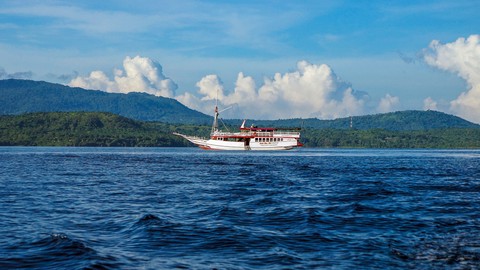 Đến Indo ‘săn’ rồng Komodo - Ảnh 1. Đến Indo ‘săn’ rồng Komodo - Ảnh 1.