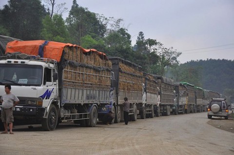 Lạng Sơn giải quyết tình trạng dồn ứ nông sản ở các cửa khẩu - Ảnh 1.