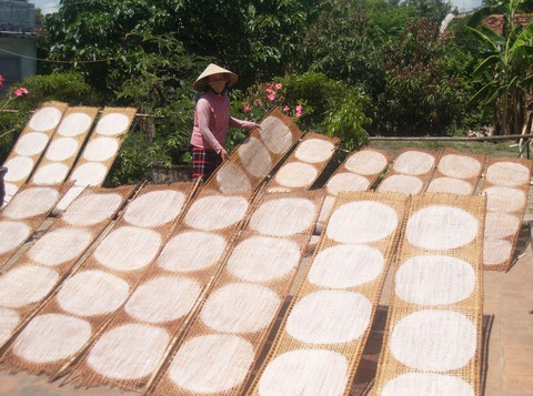 Tết này tôi lại ăn cái bánh tráng nửa nắng! - Ảnh 1. Tết này tôi lại ăn cái bánh tráng nửa nắng! - Ảnh 1.