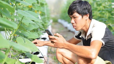 Trái ngọt từ bàn tay, khối óc và tinh thần sáng tạo - Ảnh 3. Trái ngọt từ bàn tay, khối óc và tinh thần sáng tạo - Ảnh 3.