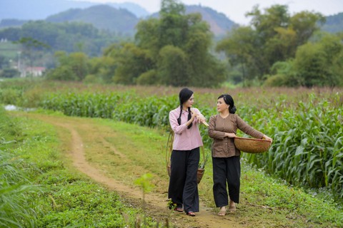 Em bé Hà Nội Lan Hương tưới rau, nhổ cỏ trong MV Tết - Ảnh 6. Em bé Hà Nội Lan Hương tưới rau, nhổ cỏ trong MV Tết - Ảnh 6.