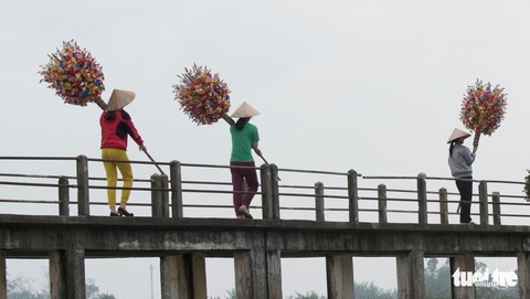 Hoa giấy xứ Huế khoe sắc Tết - Ảnh 5. Hoa giấy xứ Huế khoe sắc Tết - Ảnh 5.