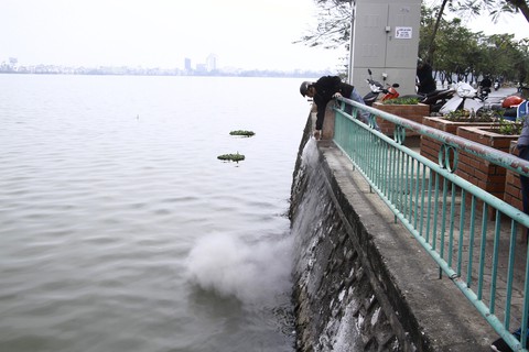 Thả cá tiễn ông Táo, đổ cả... đồ thờ xuống hồ Tây - Ảnh 2. Thả cá tiễn ông Táo, đổ cả... đồ thờ xuống hồ Tây - Ảnh 2.