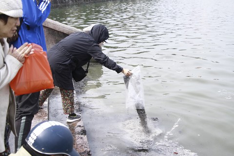 Thả cá tiễn ông Táo, đổ cả... đồ thờ xuống hồ Tây - Ảnh 6. Thả cá tiễn ông Táo, đổ cả... đồ thờ xuống hồ Tây - Ảnh 6.