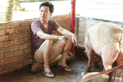 Siêu sao siêu ngố: Thanh Thúy hóa... rồ và Trường Giang đằm tính - Ảnh 4. Siêu sao siêu ngố: Thanh Thúy hóa... rồ và Trường Giang đằm tính - Ảnh 4.