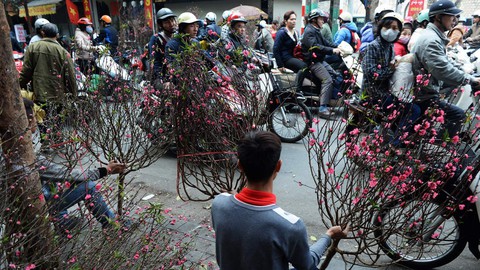 CNN chọn chợ hoa Quảng Bá, Hà Nội trong 14 điểm chơi Tết nổi bật - Ảnh 2. CNN chọn chợ hoa Quảng Bá, Hà Nội trong 14 điểm chơi Tết nổi bật - Ảnh 2.