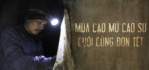 Thu gom rác được bổ sung vào danh mục nghề nặng nhọc, độc hại, nguy hiểm - Ảnh 3. Thu gom rác được bổ sung vào danh mục nghề nặng nhọc, độc hại, nguy hiểm - Ảnh 3.