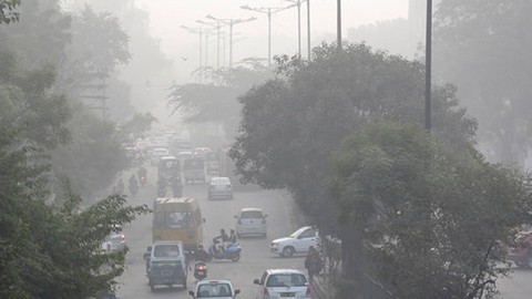New Delhi trồng cây cải thiện môi trường - Ảnh 1. New Delhi trồng cây cải thiện môi trường - Ảnh 1.