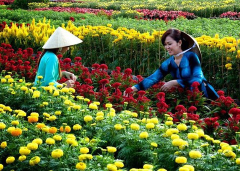 Những ngày Tết...trốn nợ, rồi cũng sẽ qua - Ảnh 1. Những ngày Tết...trốn nợ, rồi cũng sẽ qua - Ảnh 1.