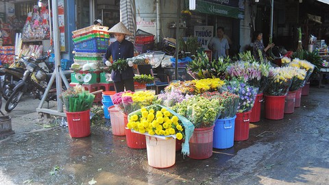 Sài Gòn nắng tháng Chạp - Ảnh 14. Sài Gòn nắng tháng Chạp - Ảnh 14.