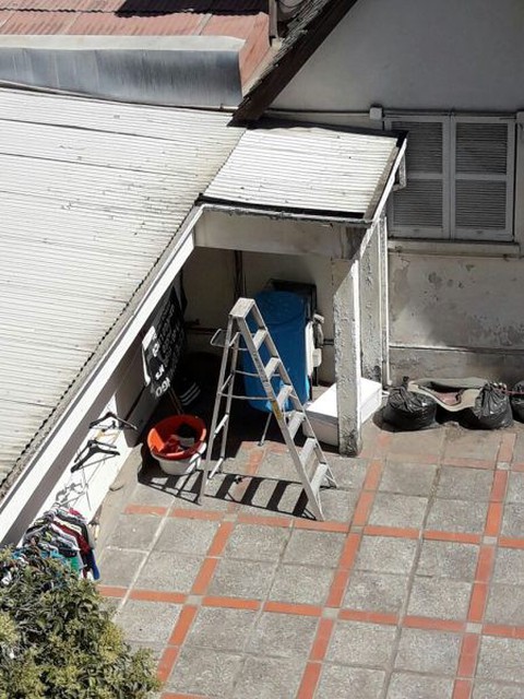 Vây cá mập mua ngoài chợ Chile để sử dụng trong nhà - Ảnh 2. Vây cá mập mua ngoài chợ Chile để sử dụng trong nhà - Ảnh 2.