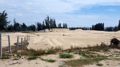Phú Yên mất sổ họp vụ cho phá rừng làm dự án - Ảnh 2. Phú Yên mất sổ họp vụ cho phá rừng làm dự án - Ảnh 2.