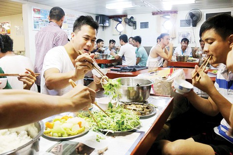 Gầy lại vườn rau nhà giàn DK1 - Ảnh 7. Gầy lại vườn rau nhà giàn DK1 - Ảnh 7.