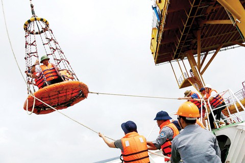 Gầy lại vườn rau nhà giàn DK1 - Ảnh 2. Gầy lại vườn rau nhà giàn DK1 - Ảnh 2.