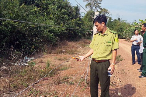 Kiến nghị xây thêm 20km hàng rào điện bảo vệ voi rừng - Ảnh 1. Kiến nghị xây thêm 20km hàng rào điện bảo vệ voi rừng - Ảnh 1.