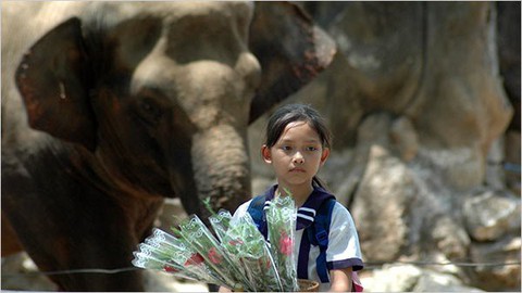 Cú và chim se sẻ - chuyện cổ tích hiện đại giữa Sài Gòn - Ảnh 4. Cú và chim se sẻ - chuyện cổ tích hiện đại giữa Sài Gòn - Ảnh 4.