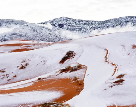 Chuyện khó tin: tuyết rơi phủ trắng sa mạc Sahara - Ảnh 3. Chuyện khó tin: tuyết rơi phủ trắng sa mạc Sahara - Ảnh 3.