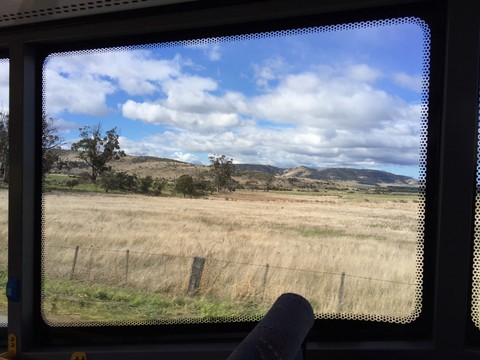 Ngày rời Tassie, tôi đã bỏ quên con tim - Ảnh 4. Ngày rời Tassie, tôi đã bỏ quên con tim - Ảnh 4.