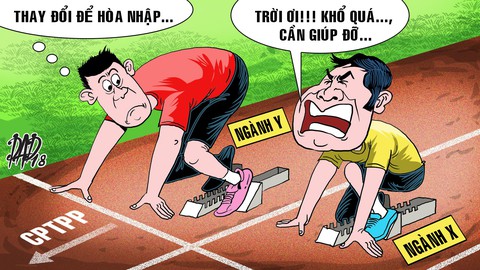 Bước vào đường chạy toàn cầu - Ảnh 1. Bước vào đường chạy toàn cầu - Ảnh 1.