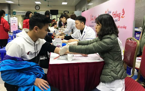 Lễ hội hoa đào chào mừng người hiến máu tình nguyện - Ảnh 1. Lễ hội hoa đào chào mừng người hiến máu tình nguyện - Ảnh 1.