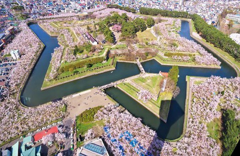 Đi Nhật Bản ngắm hoa anh đào ở đâu đẹp nhất? (phần 2) - Ảnh 8. Đi Nhật Bản ngắm hoa anh đào ở đâu đẹp nhất? (phần 2) - Ảnh 8.