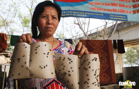 Bãi bồi sông Lam ngập rác, dân kêu trời vì ruồi - Ảnh 2. Bãi bồi sông Lam ngập rác, dân kêu trời vì ruồi - Ảnh 2.