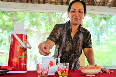 Tháng 3 về Bến Tre ngắm Bạch Mai 300 tuổi trổ bông - Ảnh 7. Tháng 3 về Bến Tre ngắm Bạch Mai 300 tuổi trổ bông - Ảnh 7.