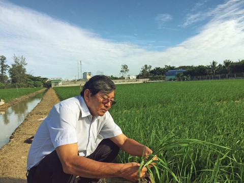Anh hùng lao động Hồ Quang Cua - người tìm đẳng cấp gạo Việt - Ảnh 1. Anh hùng lao động Hồ Quang Cua - người tìm đẳng cấp gạo Việt - Ảnh 1.