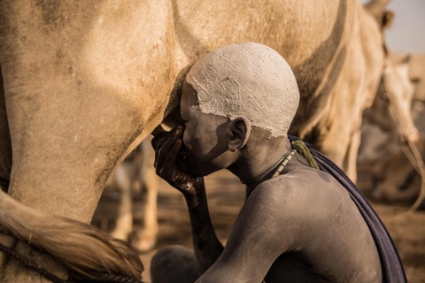 Trải nghiệm cuộc sống chăn bò của người Dinka ở Nam Sudan - Ảnh 2. Trải nghiệm cuộc sống chăn bò của người Dinka ở Nam Sudan - Ảnh 2.