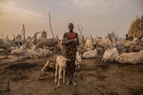 Trải nghiệm cuộc sống chăn bò của người Dinka ở Nam Sudan - Ảnh 6. Trải nghiệm cuộc sống chăn bò của người Dinka ở Nam Sudan - Ảnh 6.