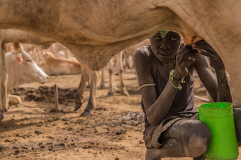 Trải nghiệm cuộc sống chăn bò của người Dinka ở Nam Sudan - Ảnh 8. Trải nghiệm cuộc sống chăn bò của người Dinka ở Nam Sudan - Ảnh 8.