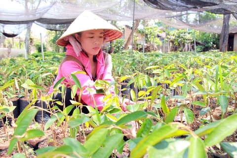 Hiệu trưởng xén lương giáo viên, chi cho người mình tự tuyển? - Ảnh 1. Hiệu trưởng xén lương giáo viên, chi cho người mình tự tuyển? - Ảnh 1.