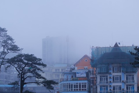 Sương mù tan, Tam Đảo hiện ra lạ lẫm - Ảnh 8. Sương mù tan, Tam Đảo hiện ra lạ lẫm - Ảnh 8.