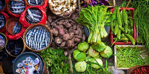 Dinh dưỡng phòng chống lão hóa - Ảnh 1. Dinh dưỡng phòng chống lão hóa - Ảnh 1.