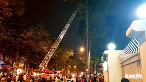 Cảnh sát cứu hỏa phá bốn tổ ong mật trên cây cao trong đêm - Ảnh 4. Cảnh sát cứu hỏa phá bốn tổ ong mật trên cây cao trong đêm - Ảnh 4.