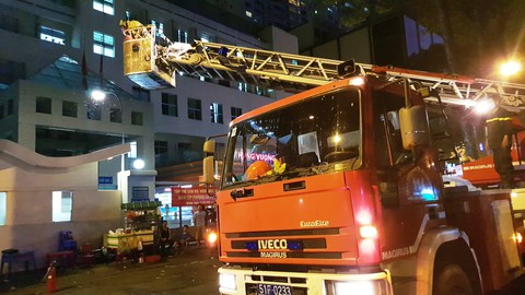 Cảnh sát cứu hỏa phá bốn tổ ong mật trên cây cao trong đêm - Ảnh 3. Cảnh sát cứu hỏa phá bốn tổ ong mật trên cây cao trong đêm - Ảnh 3.