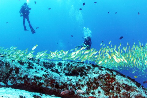 Curaçao: đến nơi nắng ngập tràn ngắm nữ hoàng - Ảnh 6. Curaçao: đến nơi nắng ngập tràn ngắm nữ hoàng - Ảnh 6.
