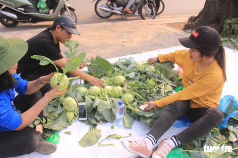 Giá giải cứu khoai tây: 12.000 đồng/kg, su hào: 3.000, củ cải: 4.500 - Ảnh 4. Giá giải cứu khoai tây: 12.000 đồng/kg, su hào: 3.000, củ cải: 4.500 - Ảnh 4.