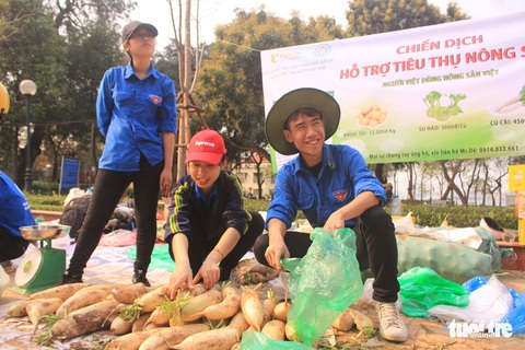 Giá giải cứu khoai tây: 12.000 đồng/kg, su hào: 3.000, củ cải: 4.500 - Ảnh 1. Giá giải cứu khoai tây: 12.000 đồng/kg, su hào: 3.000, củ cải: 4.500 - Ảnh 1.