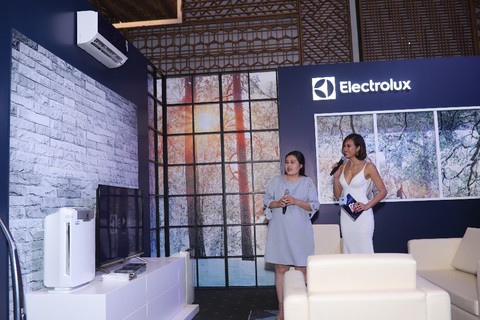 Electrolux giới thiệu ba nhóm sản phẩm chiến lược - Ảnh 1. Electrolux giới thiệu ba nhóm sản phẩm chiến lược - Ảnh 1.