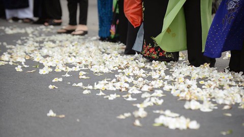 Ông Hai Khải trong lòng dân ấp Chánh - Ảnh 3. Ông Hai Khải trong lòng dân ấp Chánh - Ảnh 3.