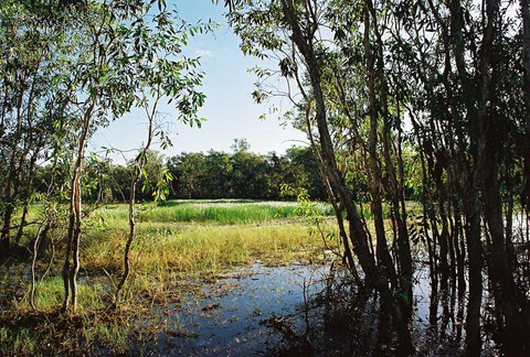Darwin - Thiên đường bí ẩn - Ảnh 5. Darwin - Thiên đường bí ẩn - Ảnh 5.
