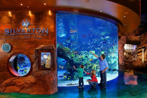 Đến Las Vegas tha hồ vui chơi miễn phí ở đâu? - Ảnh 6. Đến Las Vegas tha hồ vui chơi miễn phí ở đâu? - Ảnh 6.