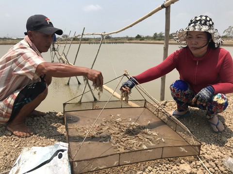Hơn 20 người tấn công, đổ thuốc trừ sâu xuống vuông tôm - Ảnh 1. Hơn 20 người tấn công, đổ thuốc trừ sâu xuống vuông tôm - Ảnh 1.