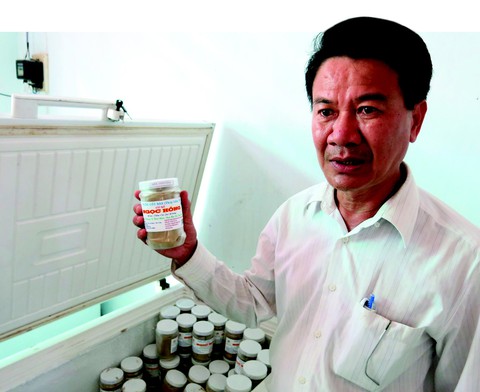 Trái bần giúp làm giàu - Ảnh 1. Trái bần giúp làm giàu - Ảnh 1.