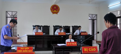 Hủy án vụ 116 trứng vích để làm rõ vai trò của kiểm lâm viên - Ảnh 5. Hủy án vụ 116 trứng vích để làm rõ vai trò của kiểm lâm viên - Ảnh 5.