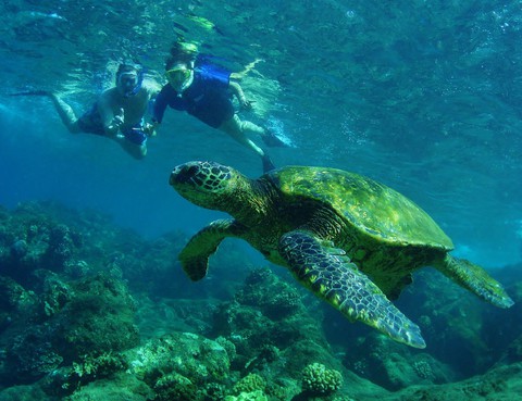 Đi Hawaii thật là oai - Ảnh 8. Đi Hawaii thật là oai - Ảnh 8.