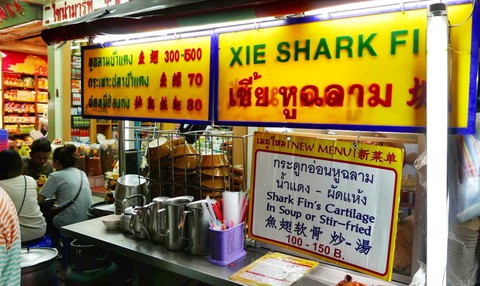 Đông, Tây đều cấm cắt vi cá mập - Ảnh 3. Đông, Tây đều cấm cắt vi cá mập - Ảnh 3.