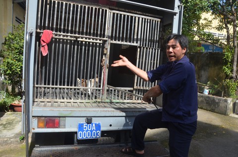 Xe bắt chó, “đặc sản đô thị” Sài Gòn - Ảnh 4. Xe bắt chó, “đặc sản đô thị” Sài Gòn - Ảnh 4.